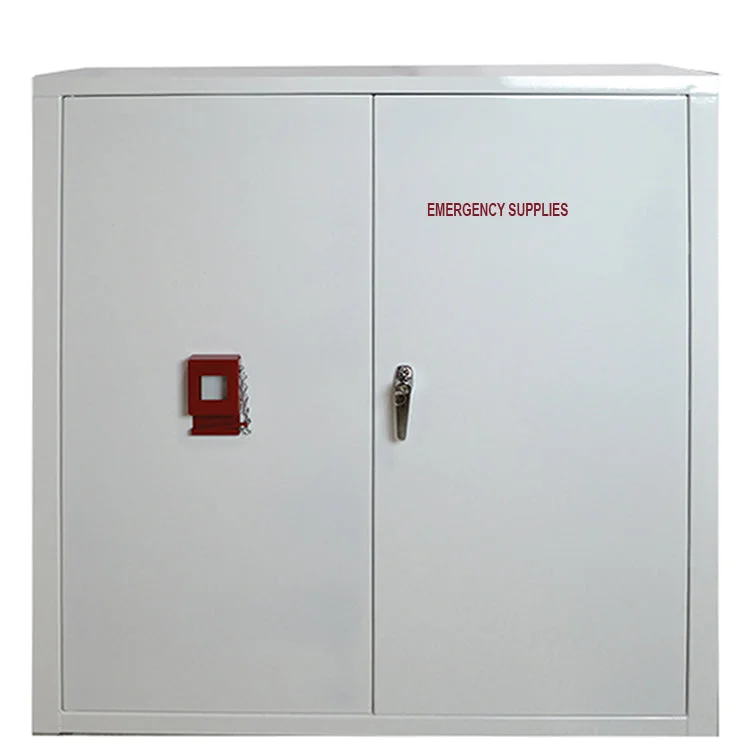 Emergency Cabinet Double Door (EMPP1180)