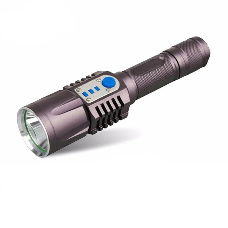 FutureTech High Powered Flashlight